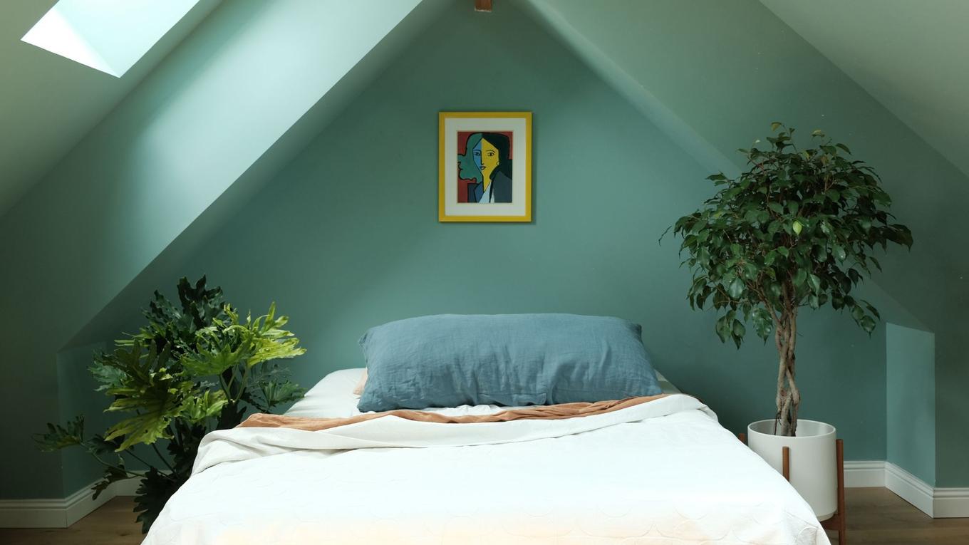 A dreamy aqua-blue bedroom with plants