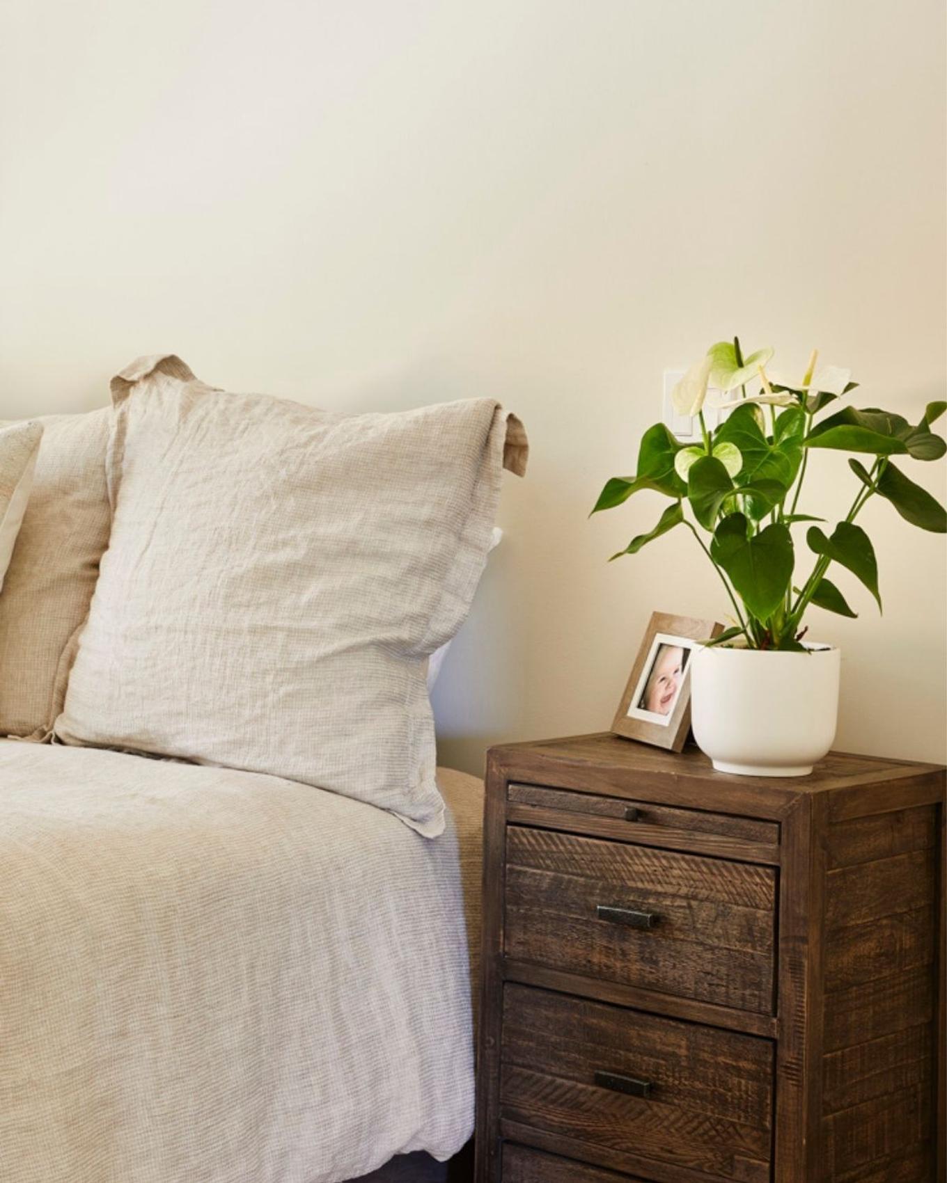 A bright bedside table with an Anthuirum