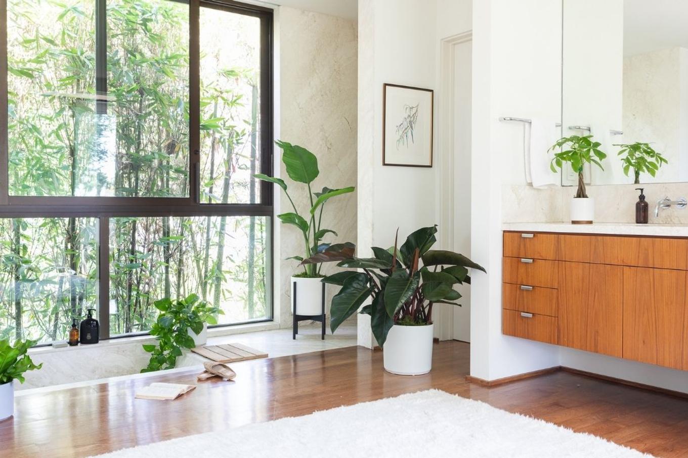 A bright modern bathroom filled with beautiful living plants