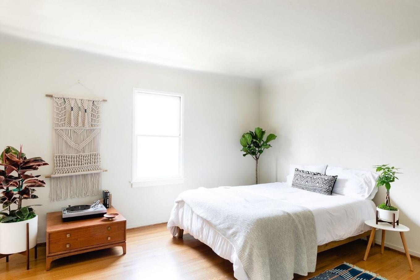 A bright bedroom decorated with living houseplants.