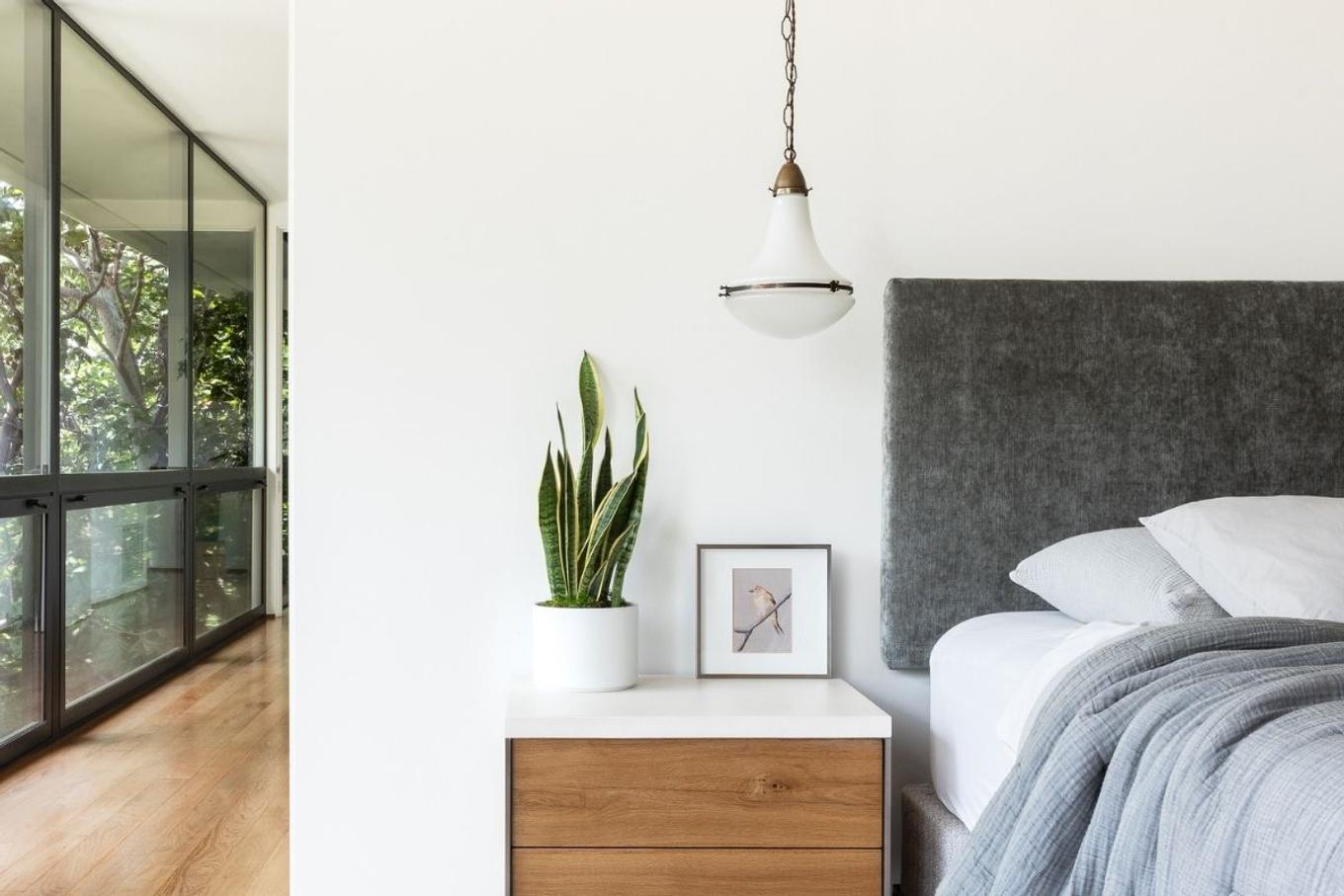 The best plant for Taurus - a Snake Plant in a bright, minimal bedroom