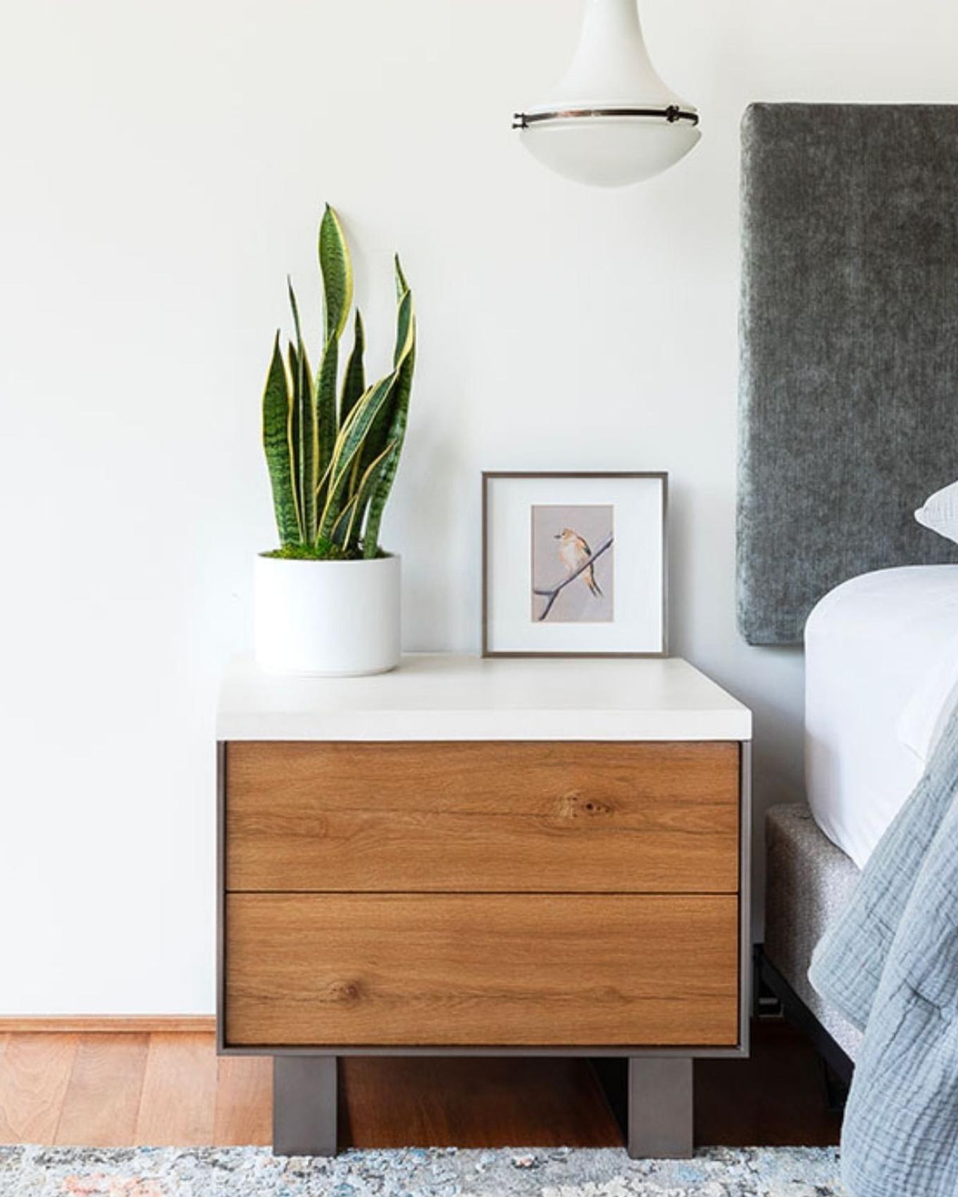 best plant gifts