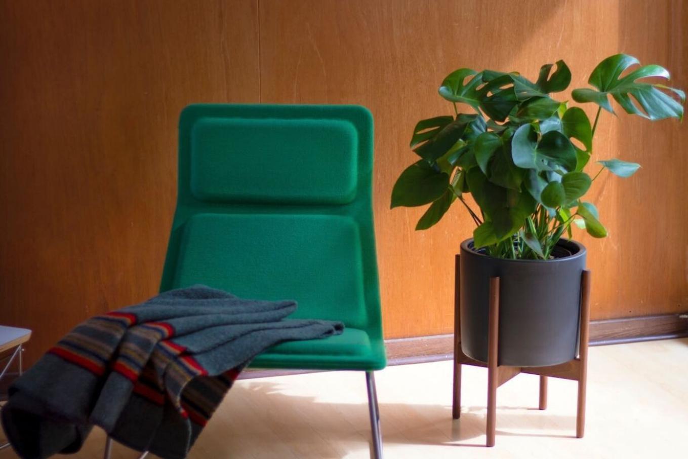 A cozy corner with a green chair and a thriving Monstera