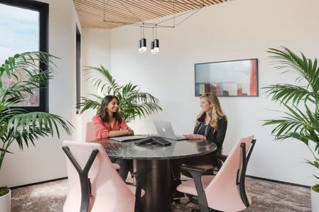 Decorative Office Plants: A Complete Guide to Styling Healthier Workspaces