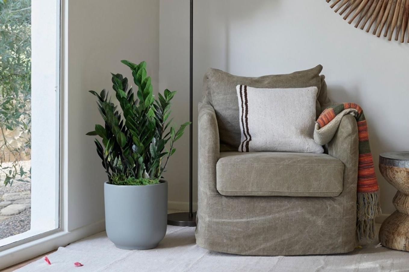 An easy-care Zanzibar Gem in a cozy reading nook