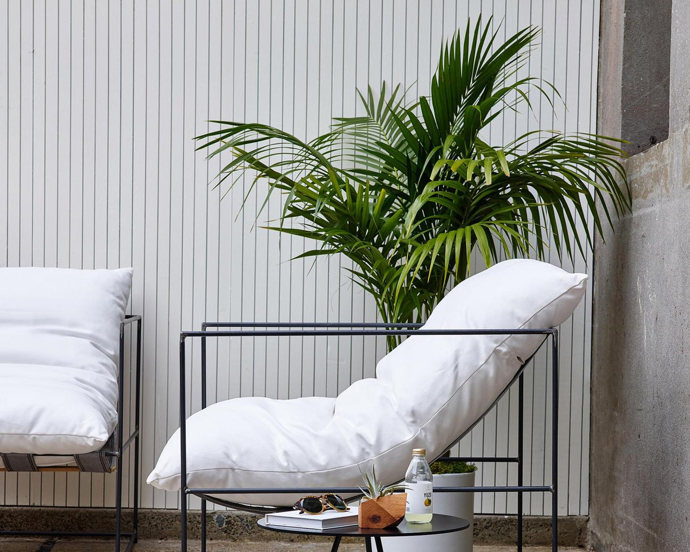 Comment booster les réservations Airbnb avec des plantes