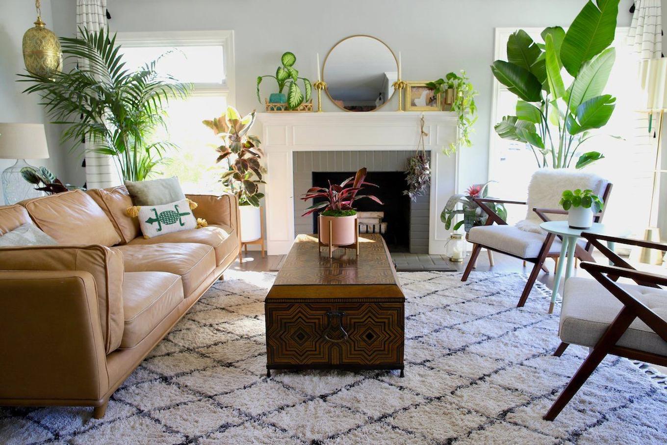 Healthy pest-free indoor plants from Leon & George