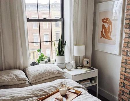 Fact or Fiction: Do Houseplants Go Dormant in Winter?