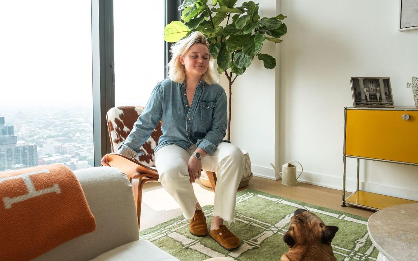 gift ideas for pet owners pet safe plants