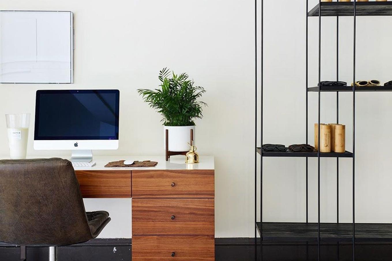 A deskspace adorned with beautiful living greenery
