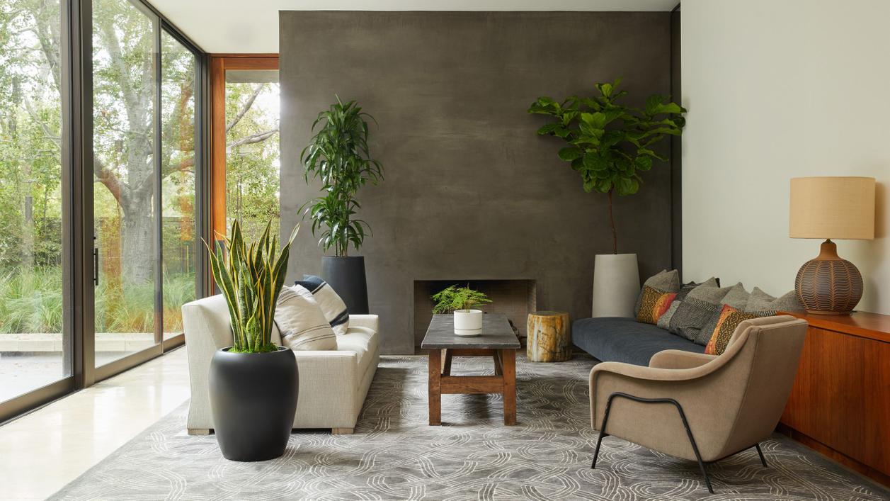 Designed To Thrive