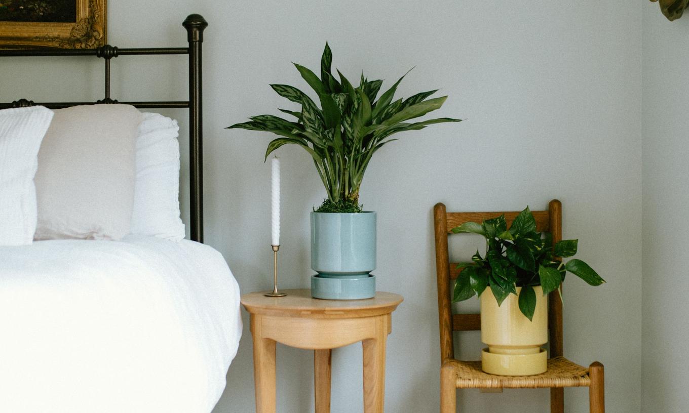 Bergs Hoff Planter