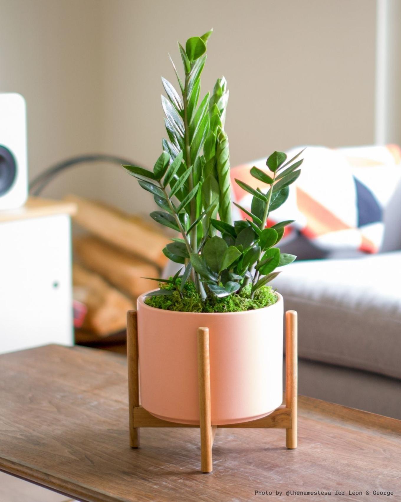 A beautiful Zanzibar Gem housewarming gift