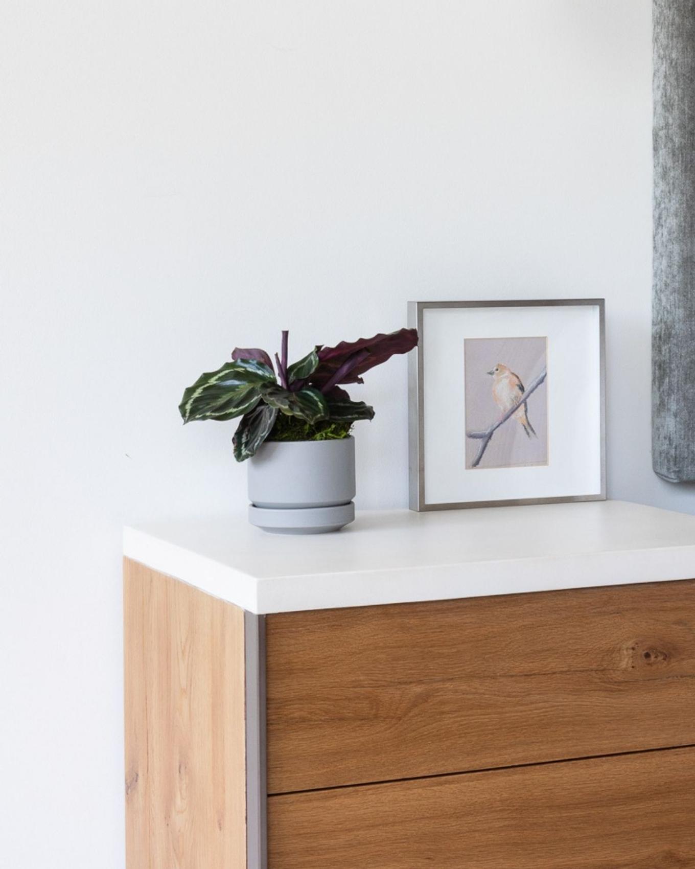 Bedside adorned with beautiful plant
