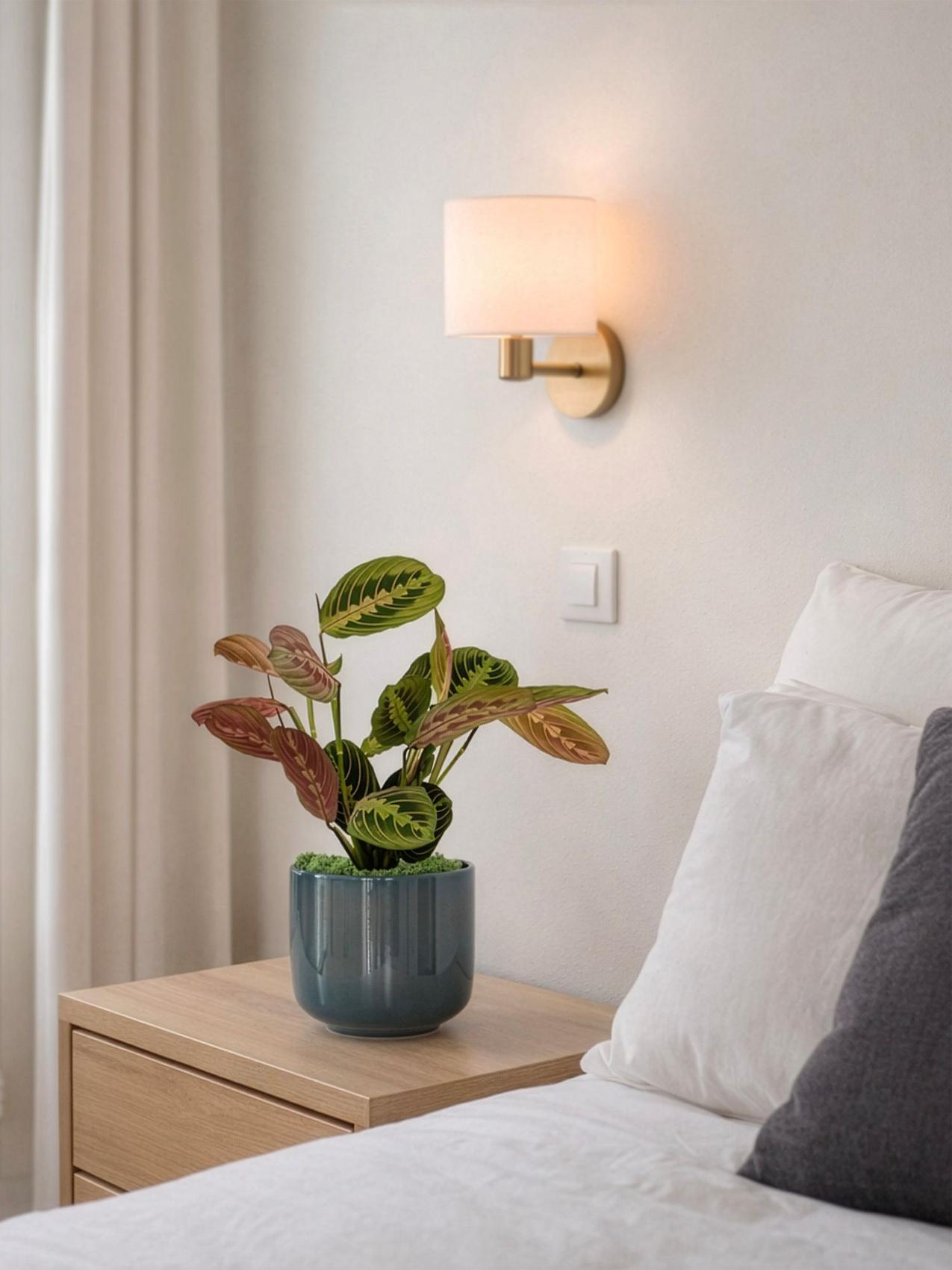 Meilleure plante d'intérieur pour les Poissons - Maranta Leuconeura (plante de prière) sur une table de chevet