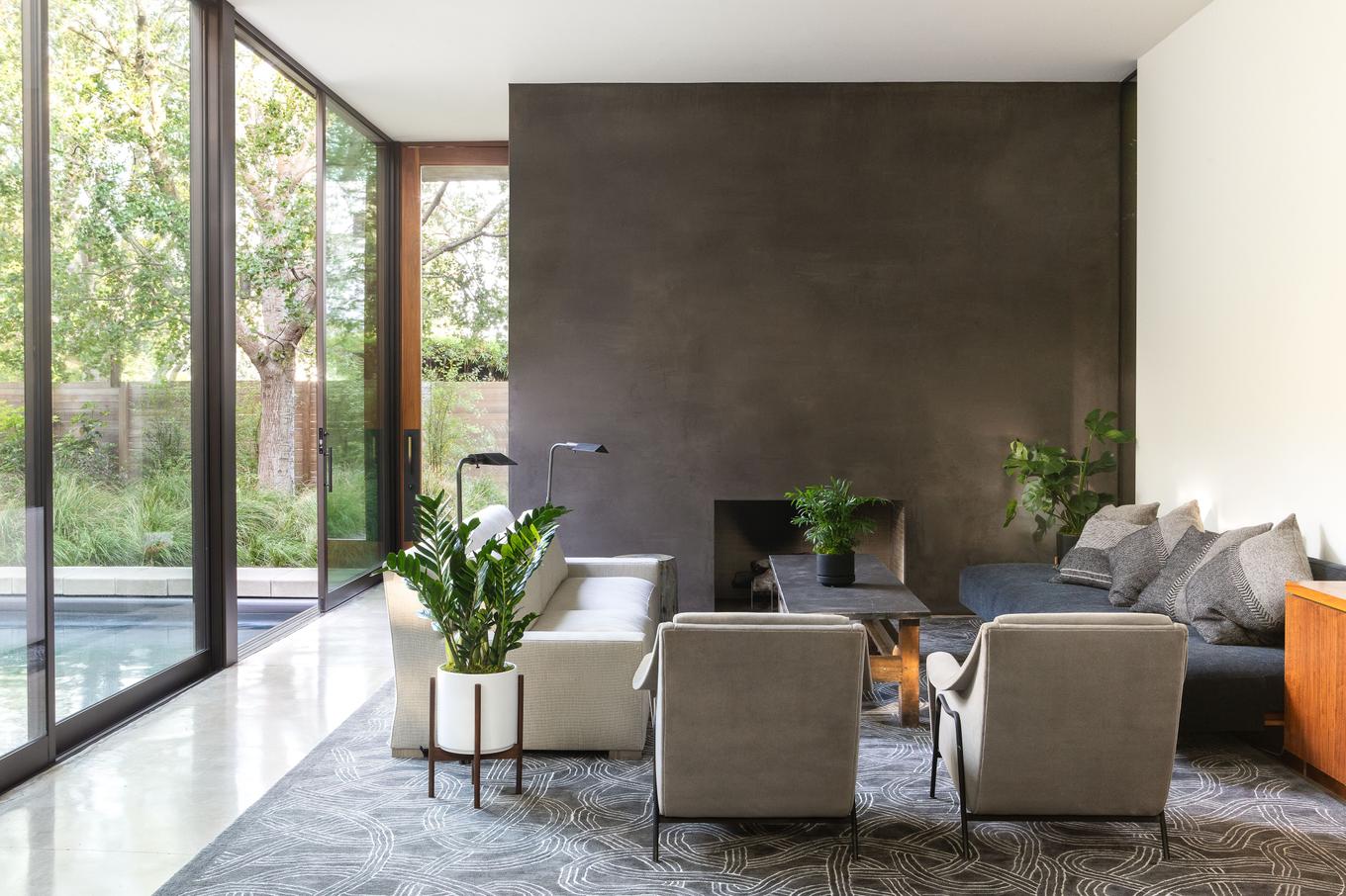 Fiddle Leaf fig Tree
