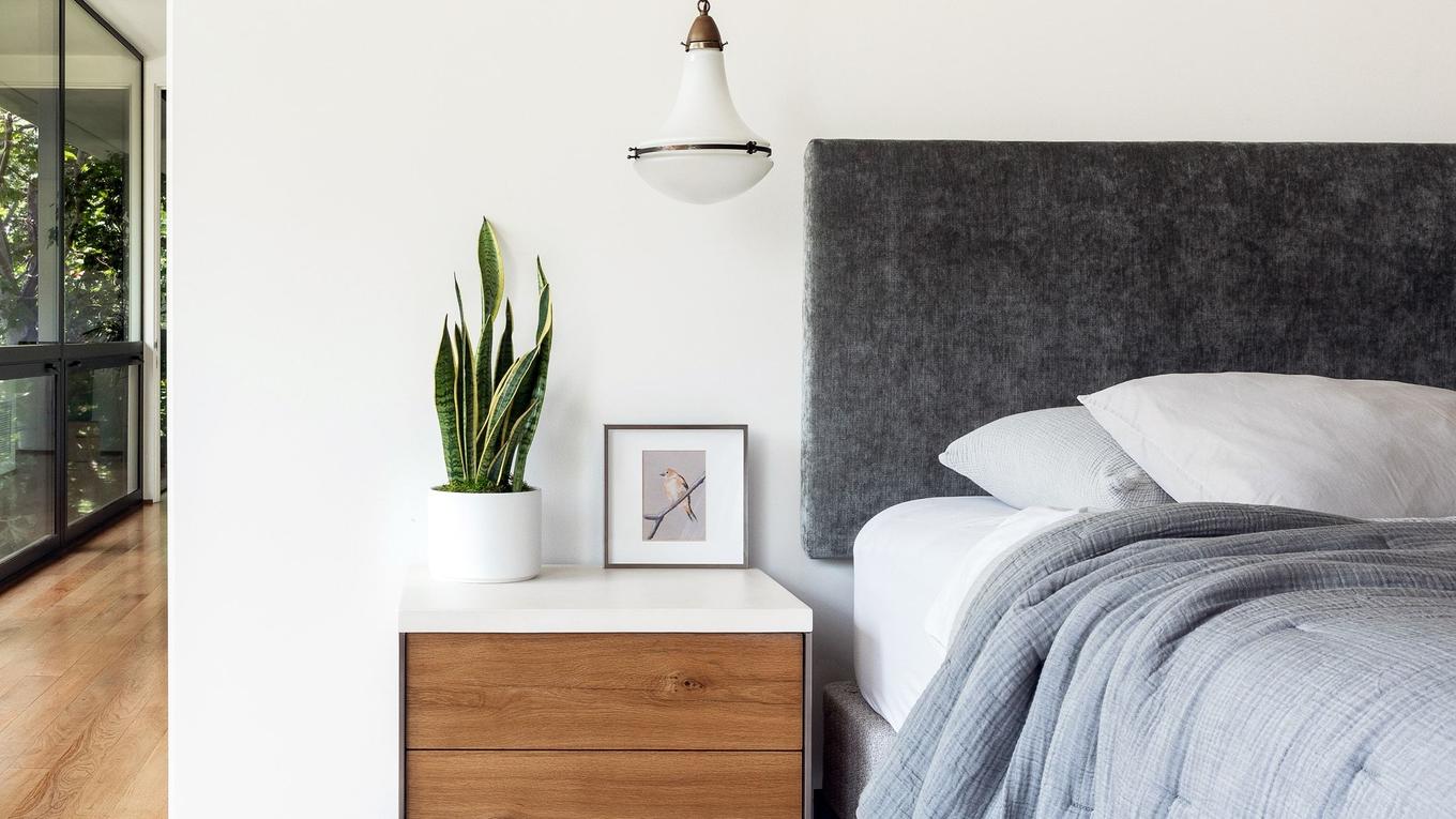 Why the Snake Plant is the best plant for the bedroom by Léon & George