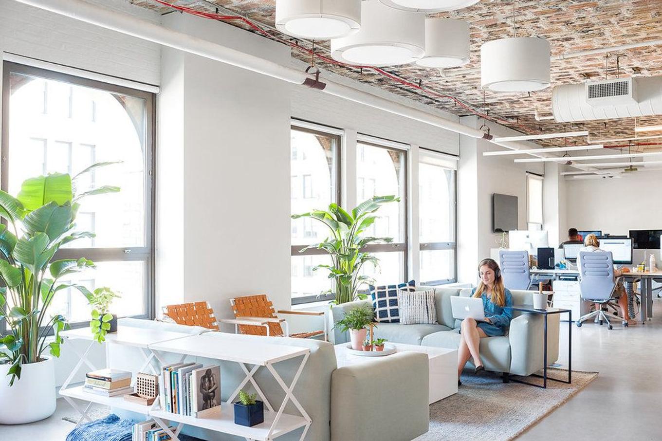 Bürobegrünung von Léon & George. Ein Open Space mit zwei großen Strelitzien 
