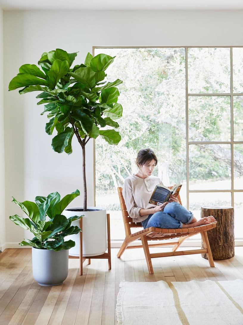 une femme assise dans un fauteuil, l'air détendue, entourée de plantes
