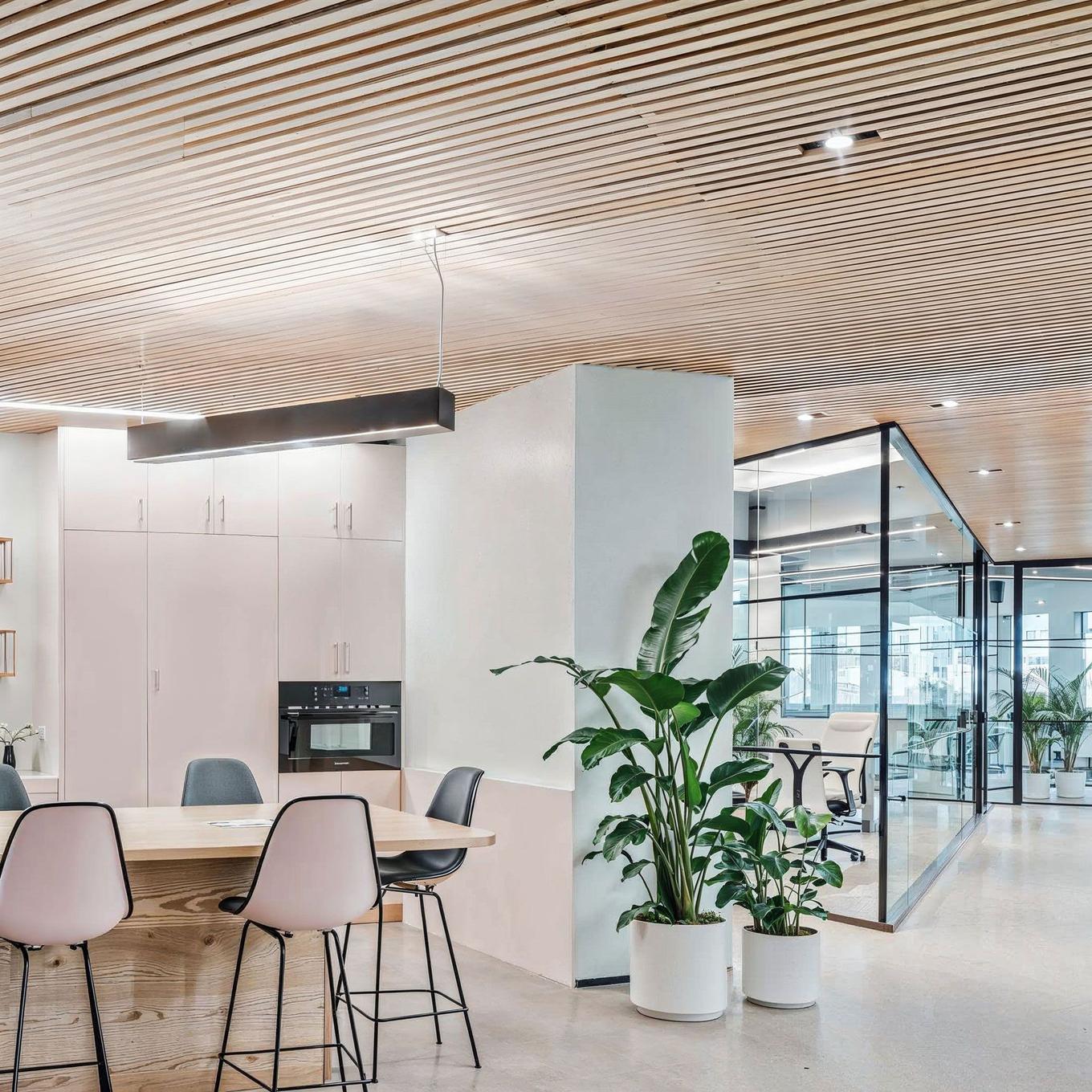 Modern office kitchen with decorative plants