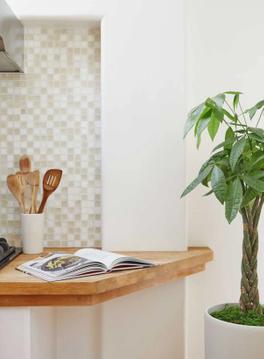 The Best Plants for Feng Shui