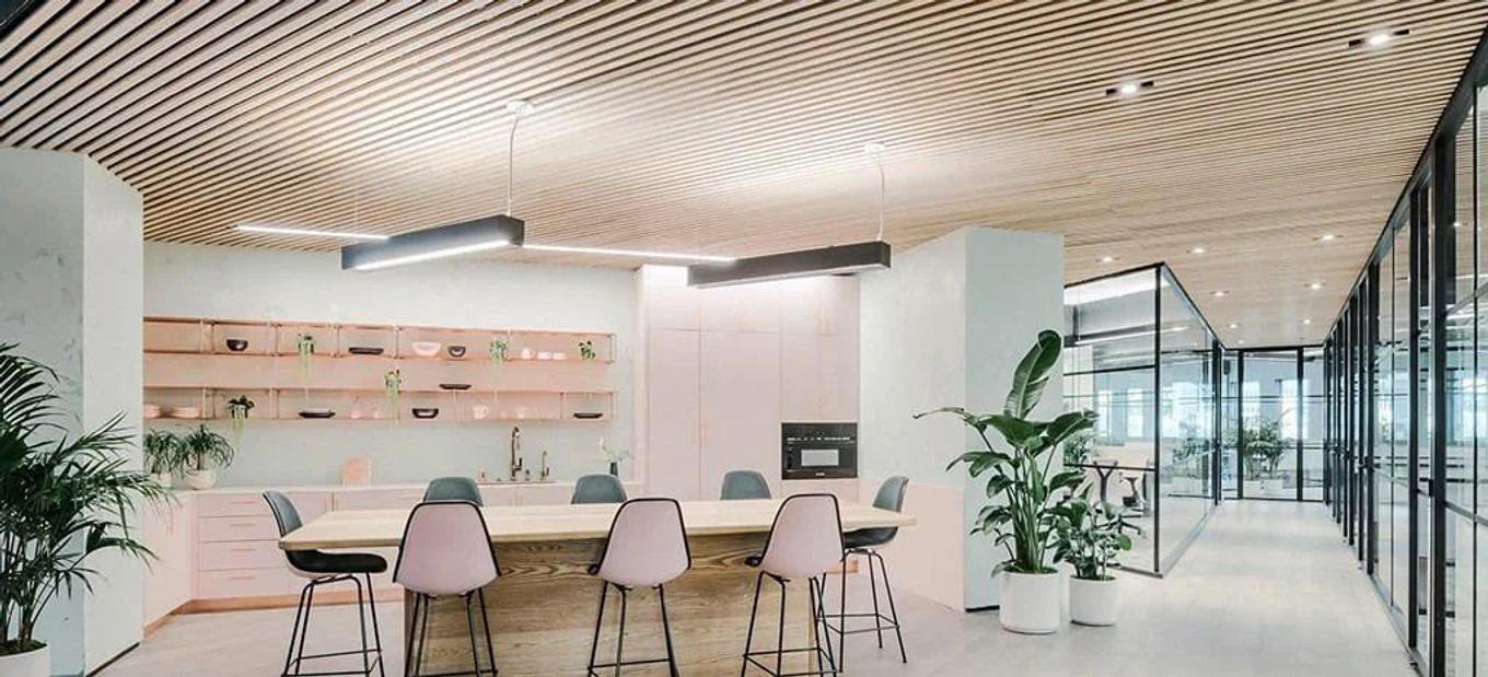 Office plants that inspire creativity