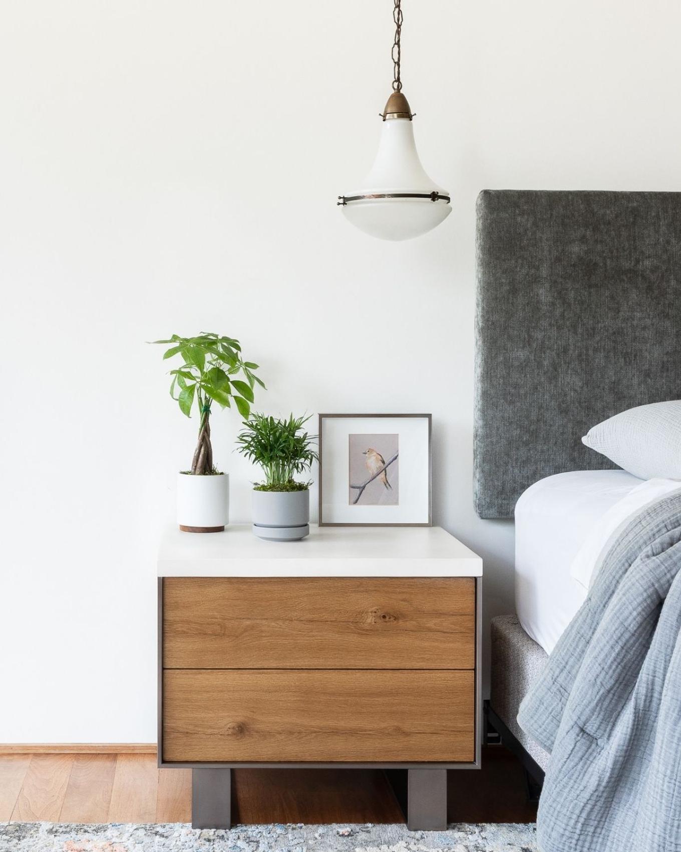 A Parlor Palm and a Money Tree deocrating a white and wood bedside table