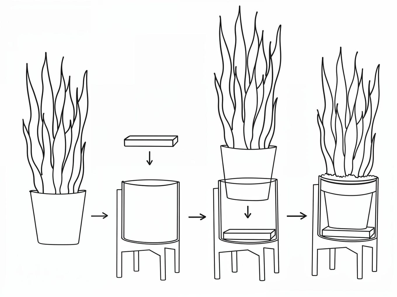 Plant Staging
