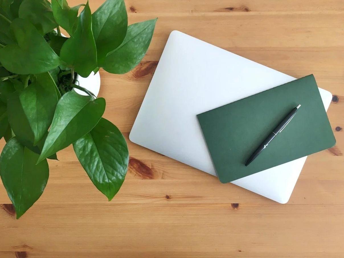 Plants styled in a work from home office