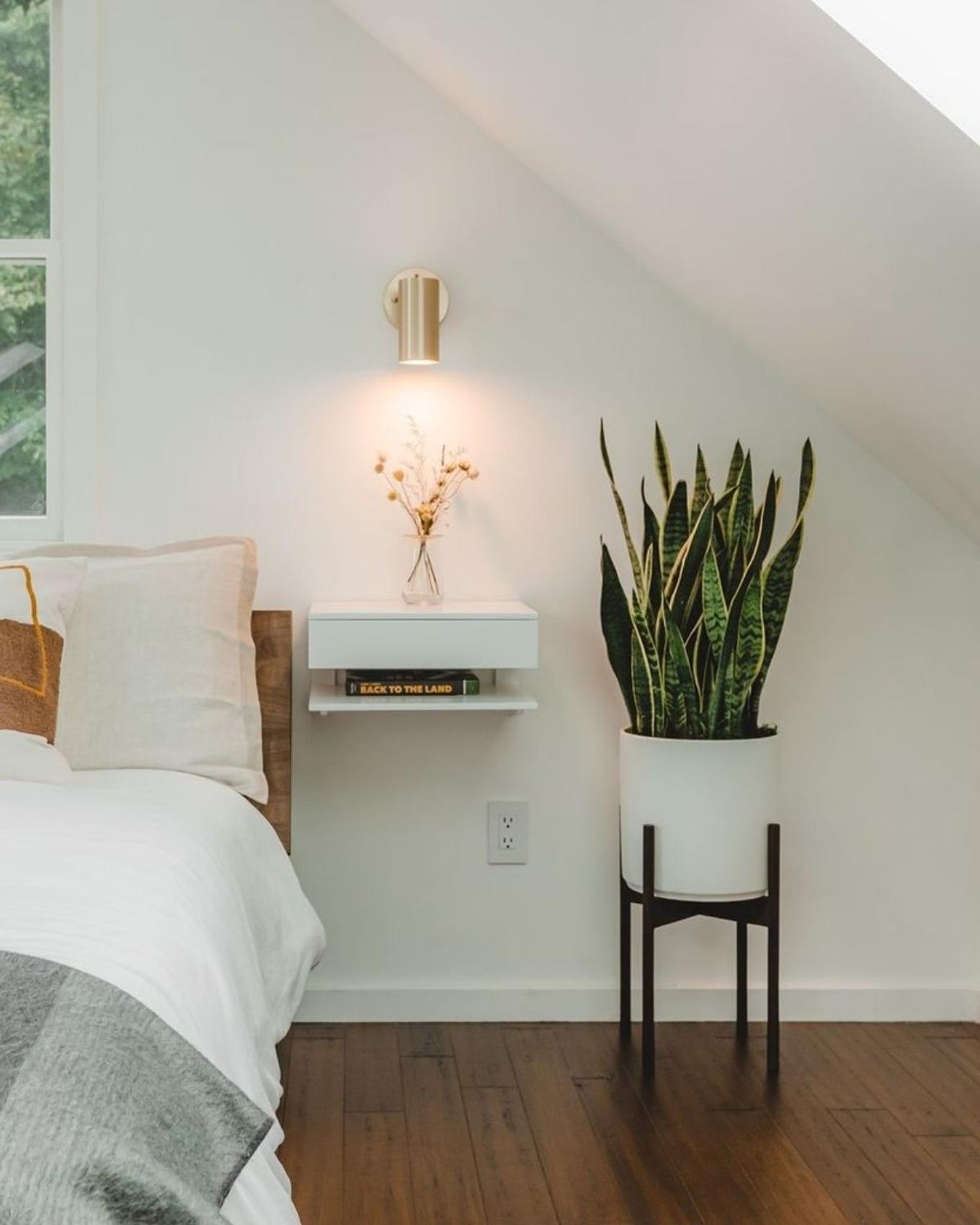 Calming bedroom vignette with side table and Snake plant
