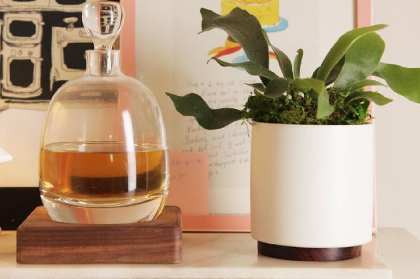 A simple console decor with a Staghorn Fern