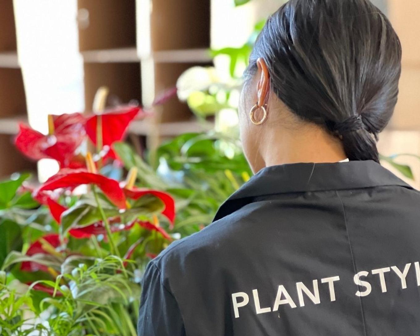 Plant Stylist with a Red Anthurium