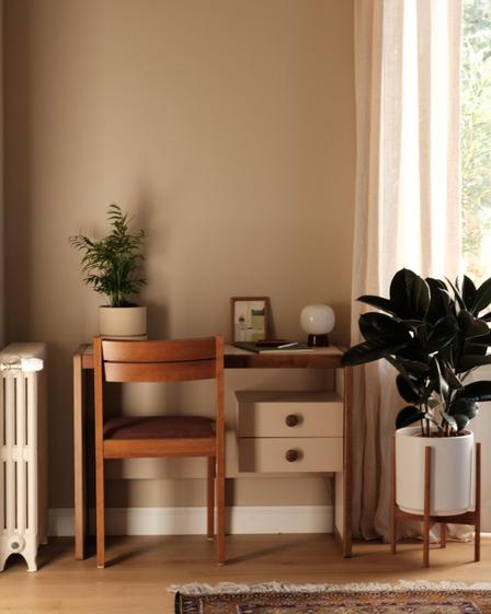 Rubber Tree & Parlor Palm