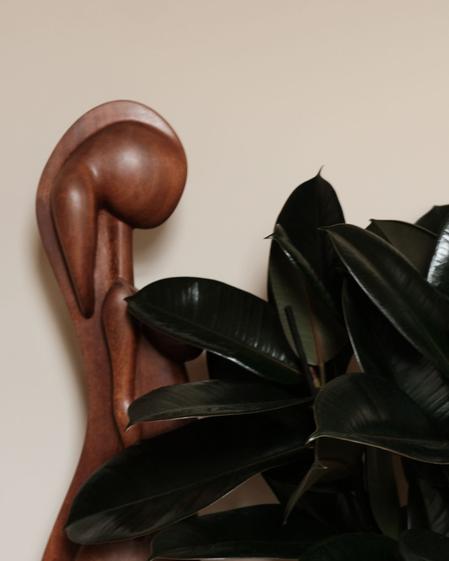 Rubber Tree
