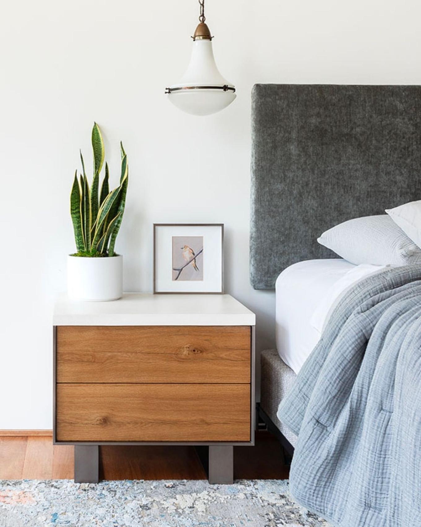 Snake plant on modern nightstand in a bright bedroom