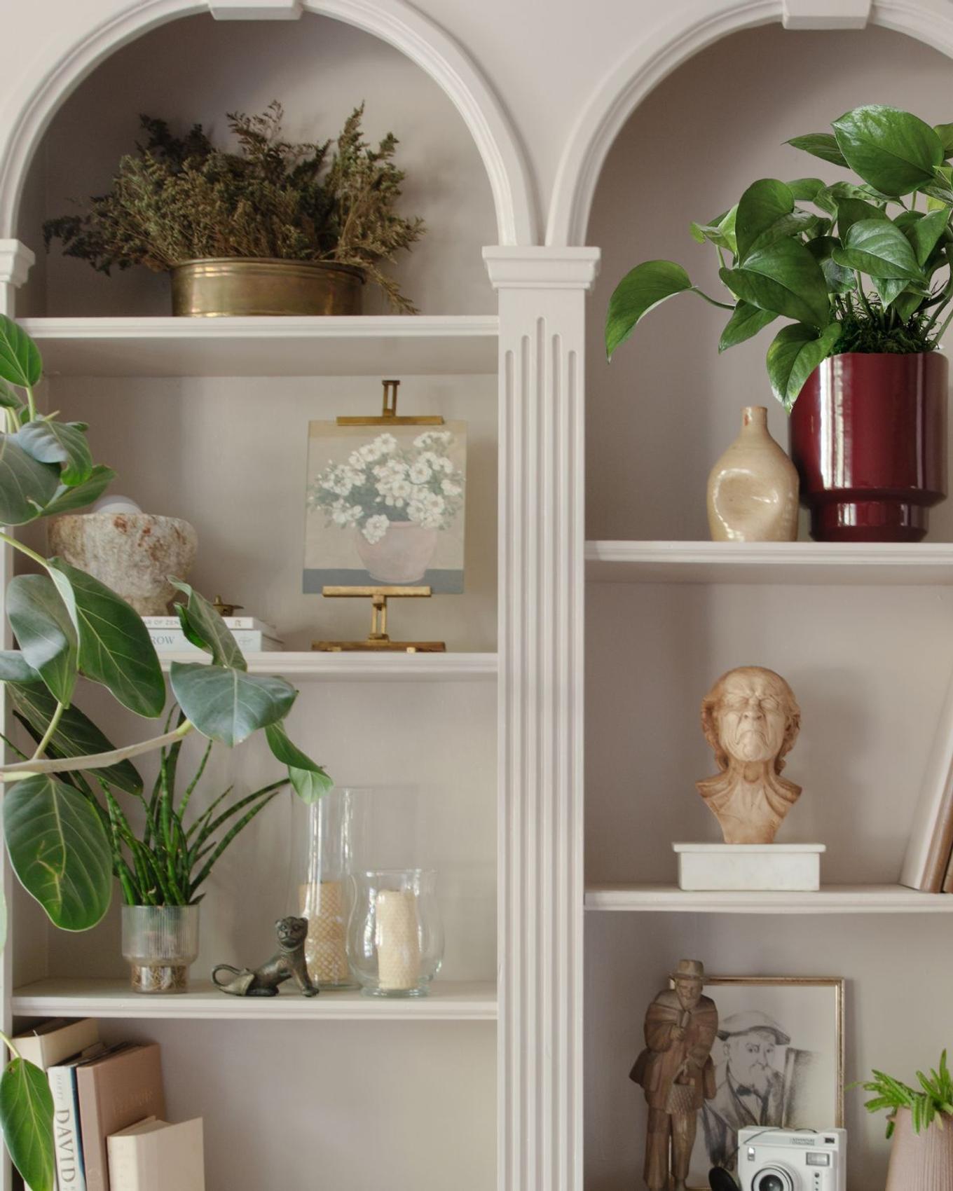 The Cascading Pothos on a well decorated shelf