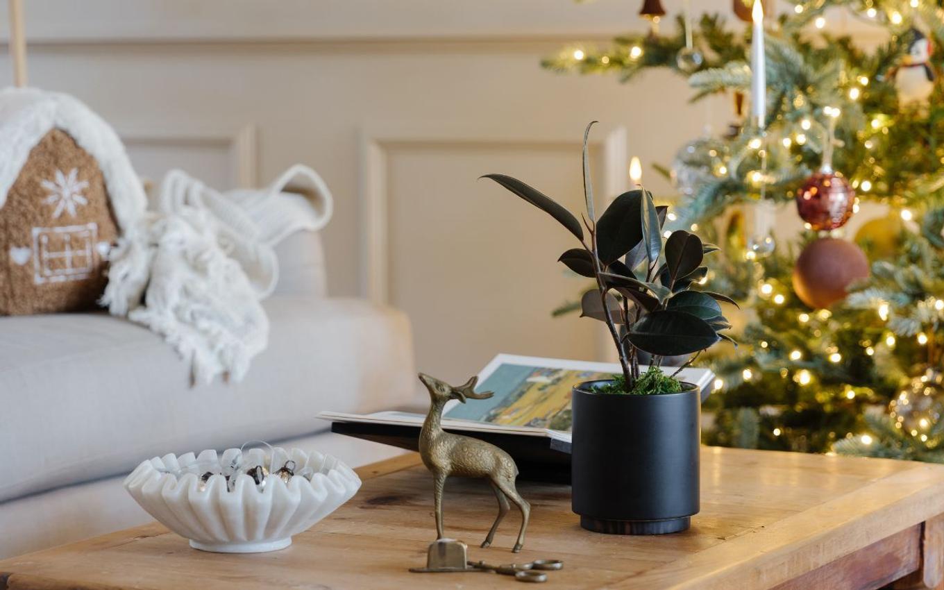 Gift ideas for the home