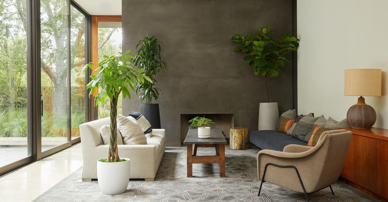Designed To Thrive