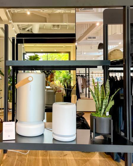 A display shelf in a modern retail store featuring minimalist air purifiers and a snake plant in a black planter. The arrangement highlights biophilic design and clean, curated visual merchandising.