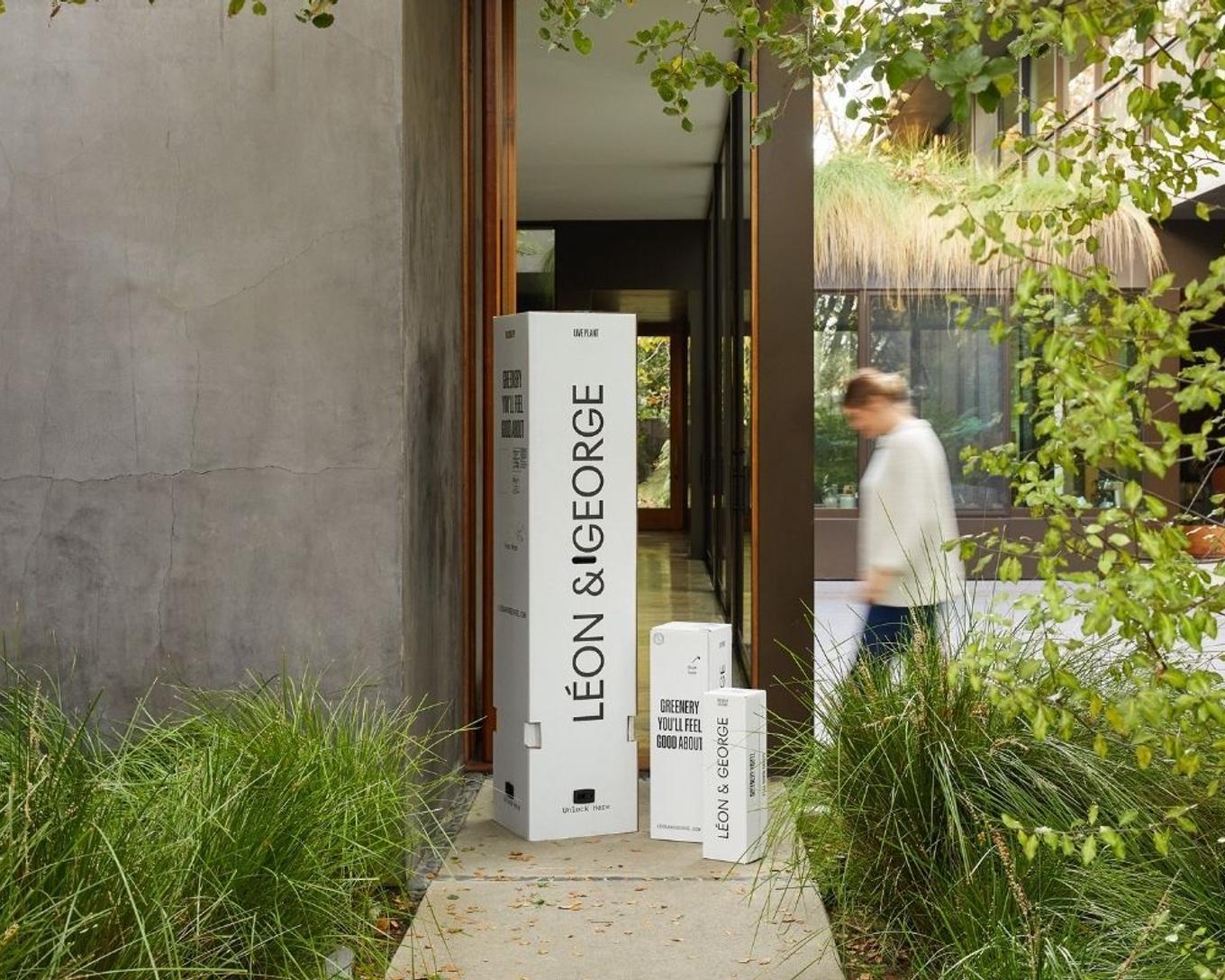 Extra large plants available for shipping nationwide