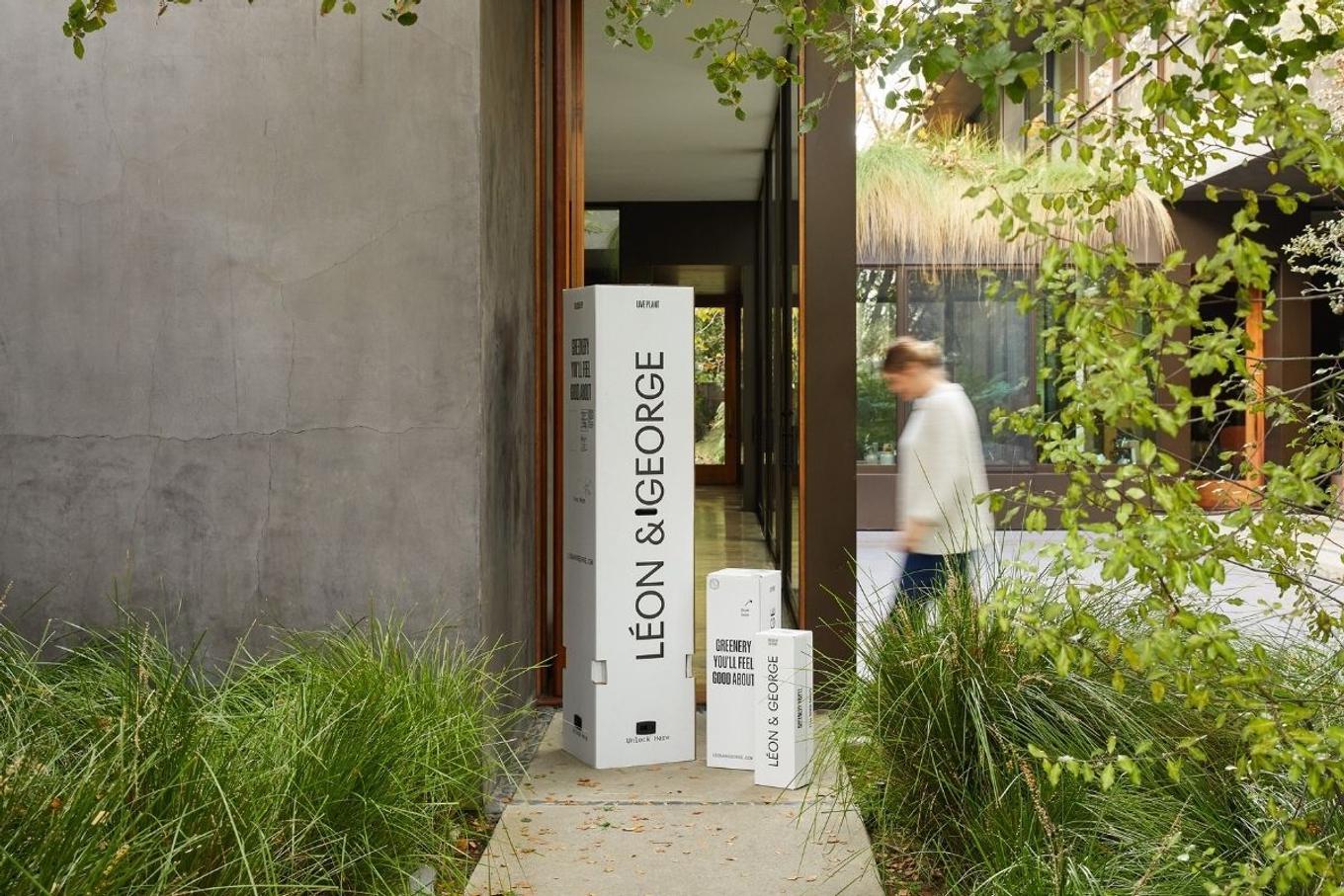 Extra large plants available for shipping nationwide