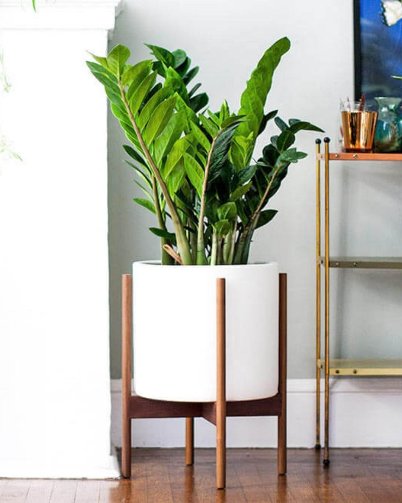 A Zanzibar Gem decorating a living room