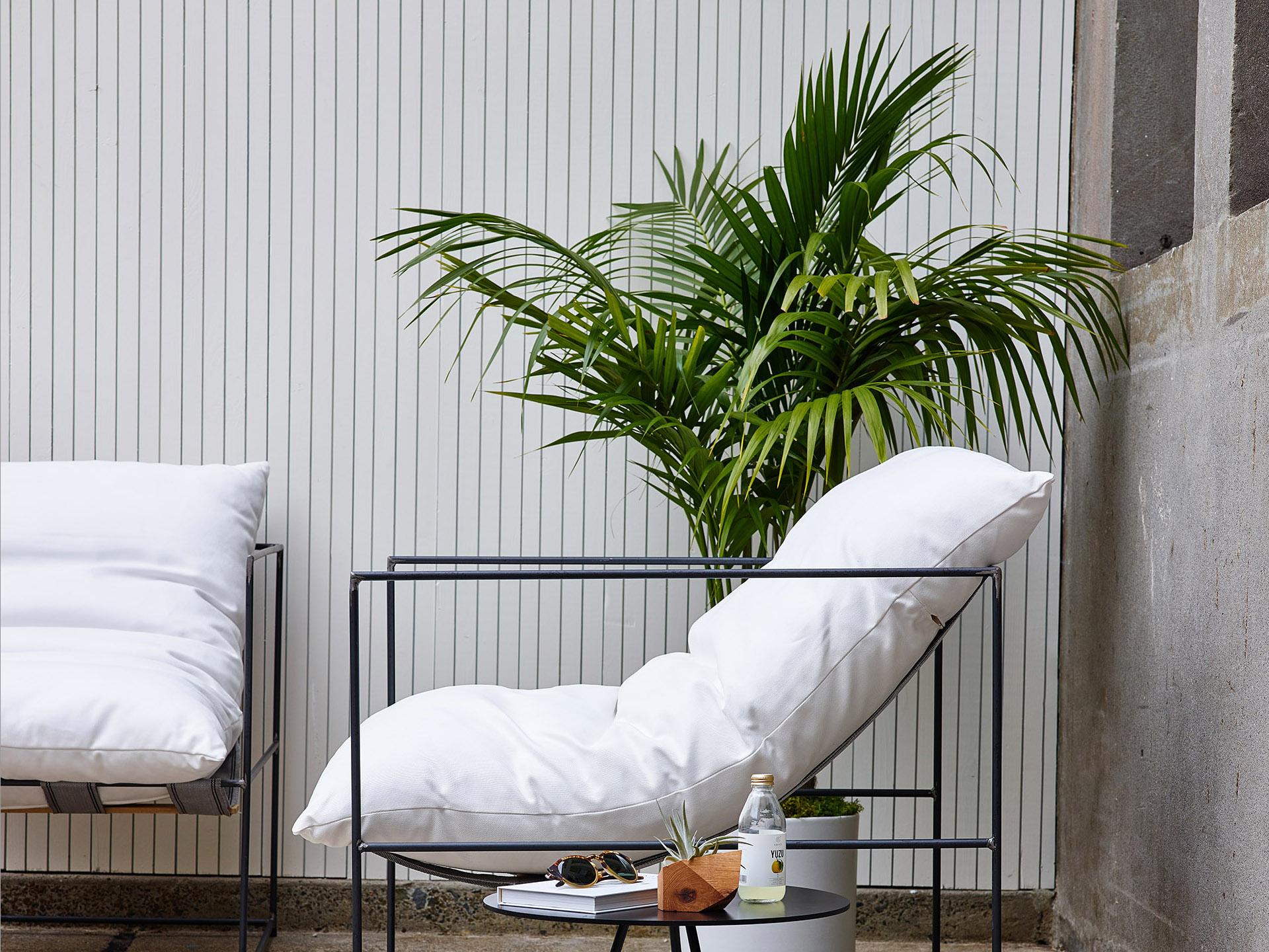 Living indoor plants, delivered with care.