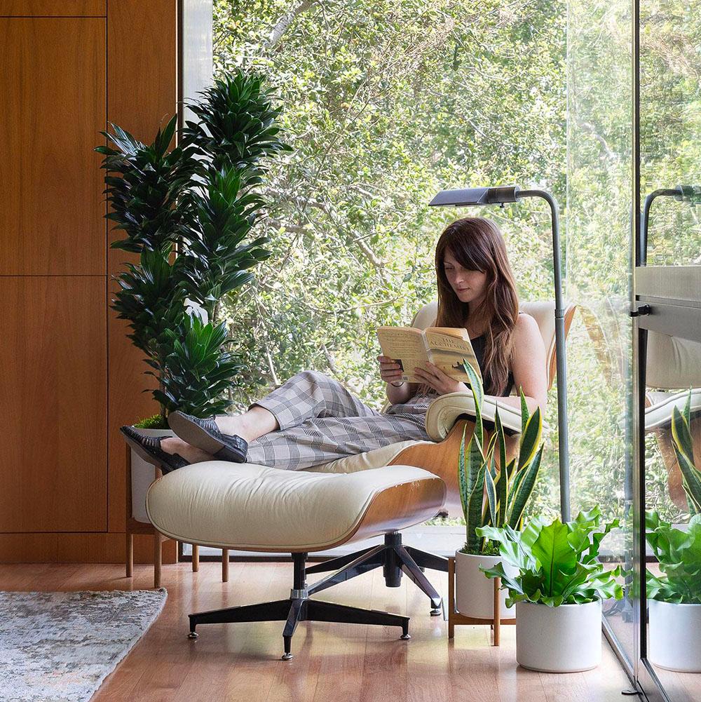 A Beautiful Opportunity